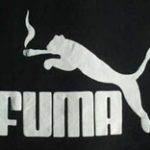 Μαϊμού – νετ